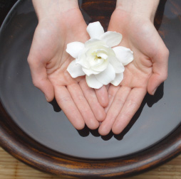 Floating gardenia photo